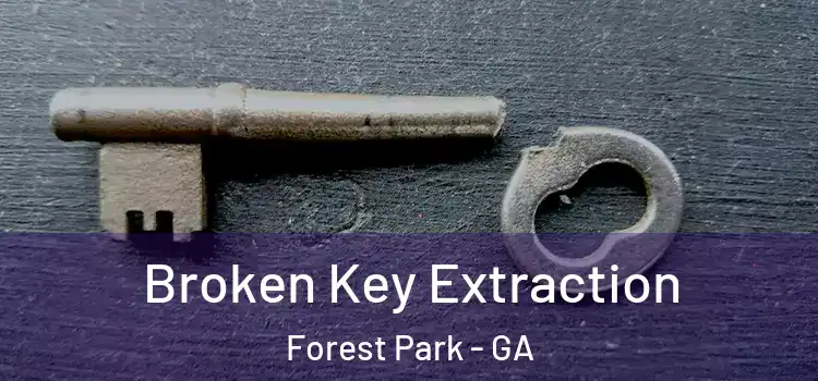  Broken Key Extraction Forest Park - GA
