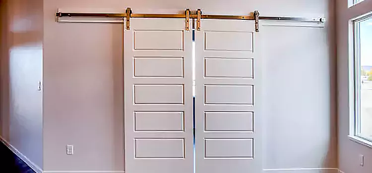 Glass Barn Door with Installation Hardware Kit Forest Park