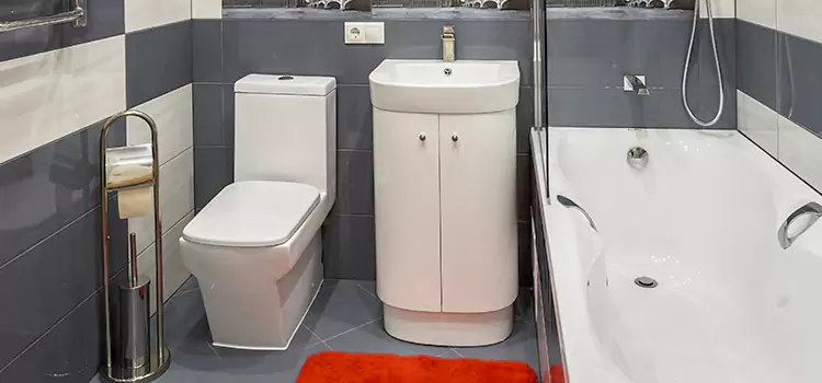 Hansgrohe Shaving Mirror Forest Park